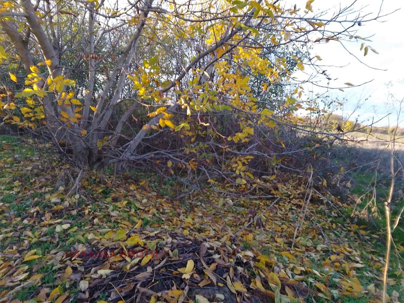 Продава ПАРЦЕЛ, с. Ягодово, област Пловдив, снимка 3 - Парцели - 50846014