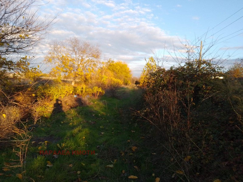 Продава ПАРЦЕЛ, с. Ягодово, област Пловдив, снимка 4 - Парцели - 50846014