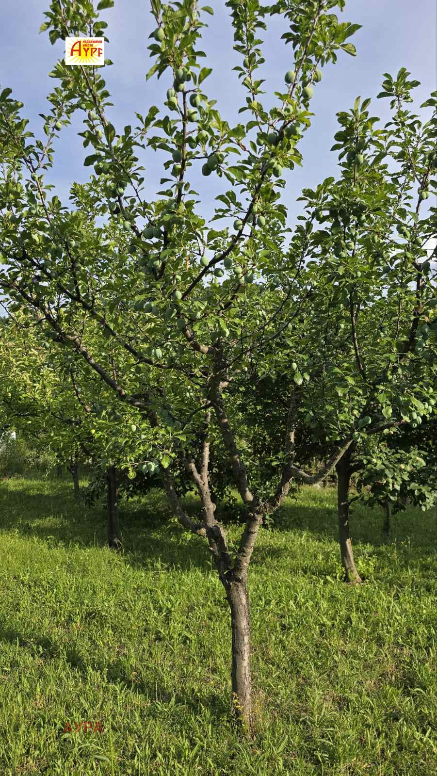 Продава ВИЛА, гр. Враца, Студентски град, снимка 4 - Вили - 55293968