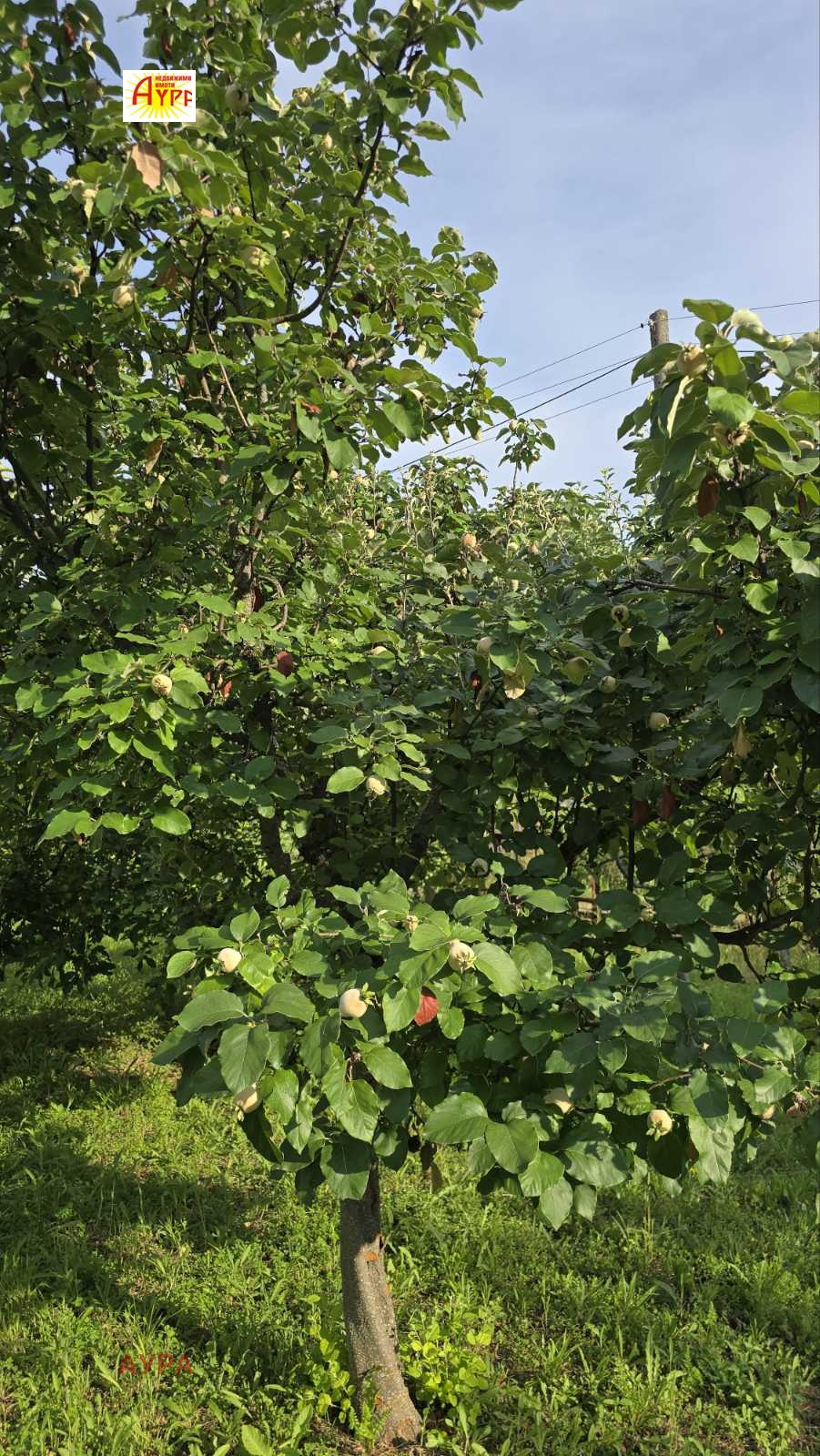 Продава ВИЛА, гр. Враца, Студентски град, снимка 14 - Вили - 55293968