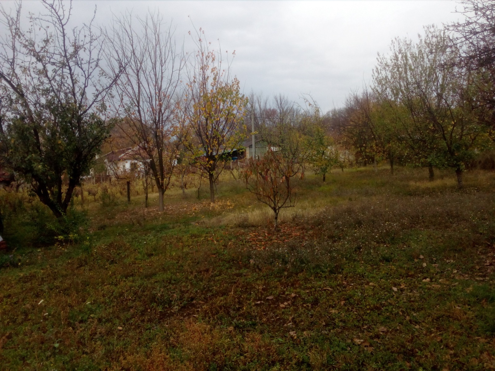 ������� ���� | Imot.bg � ����������� 11