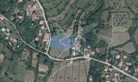 ����� ������� ������,��. �����, ������ �����