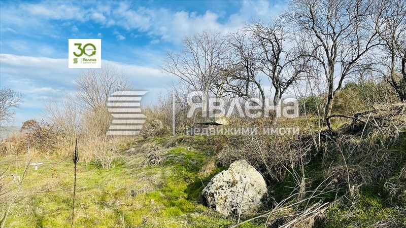 Продава ПАРЦЕЛ, гр. Девня, област Варна, снимка 9 - Парцели - 48951771