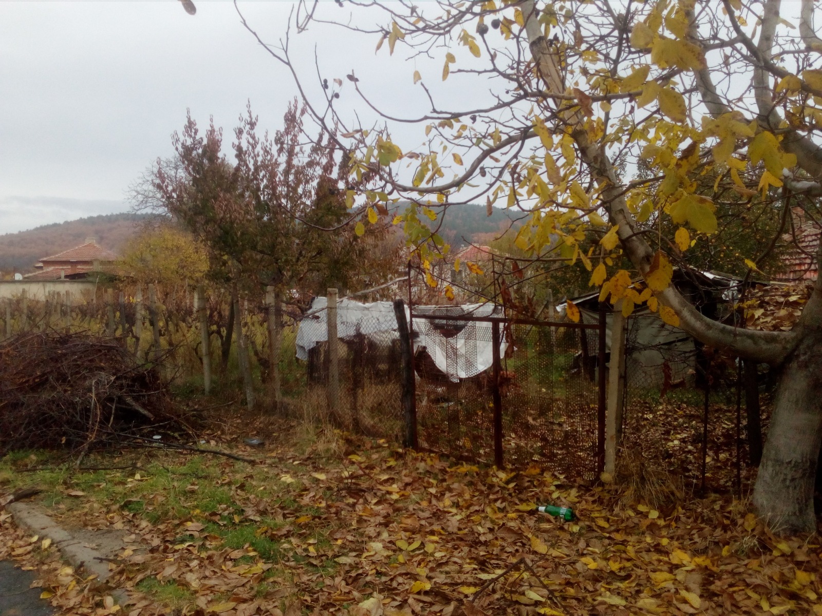 Продава КЪЩА, с. Прилеп, област Бургас, снимка 6 - Къщи - 53644621