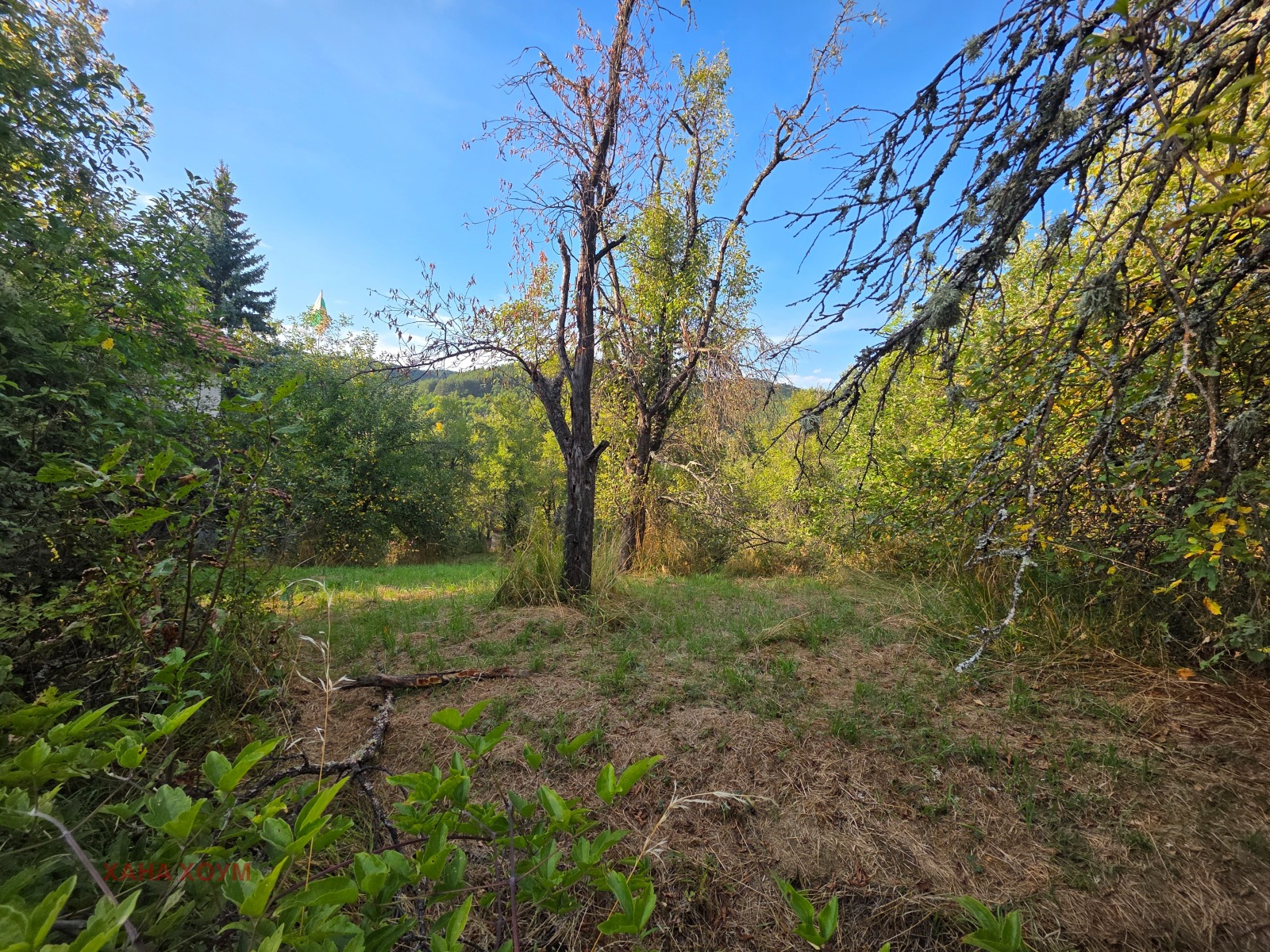 Продава ПАРЦЕЛ, с. Терзийско, област Ловеч, снимка 2 - Парцели - 55805560