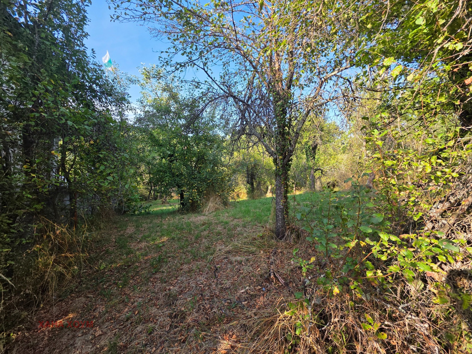 Продава ПАРЦЕЛ, с. Терзийско, област Ловеч, снимка 3 - Парцели - 55805560