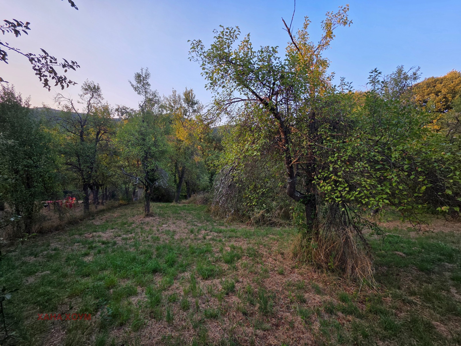Продава ПАРЦЕЛ, с. Терзийско, област Ловеч, снимка 6 - Парцели - 55805560