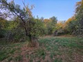 Продава ПАРЦЕЛ, с. Терзийско, област Ловеч, снимка 7