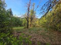 Продава ПАРЦЕЛ, с. Терзийско, област Ловеч, снимка 2