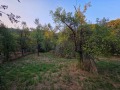 Продава ПАРЦЕЛ, с. Терзийско, област Ловеч, снимка 6