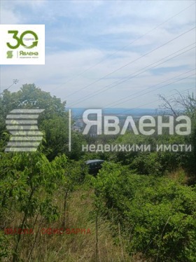 Trama m-t Planova, Varna 3