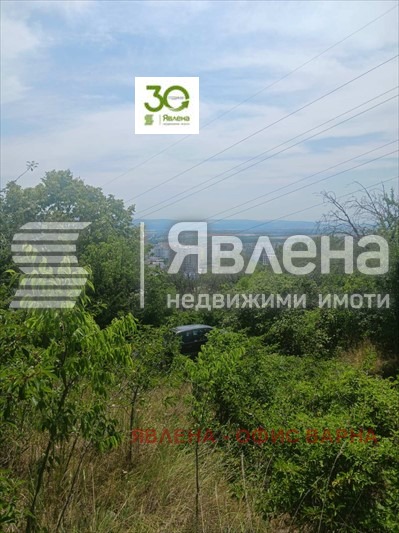 À venda  Trama Varna , m-t Planova , 401 m² | 71659729 - imagem [3]