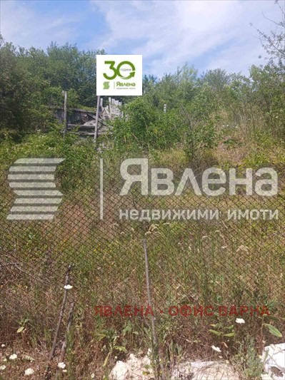 À venda  Trama Varna , m-t Planova , 401 m² | 71659729 - imagem [7]