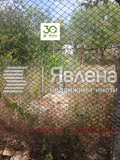 À venda  Trama Varna , m-t Planova , 401 m² | 71659729 - imagem [5]
