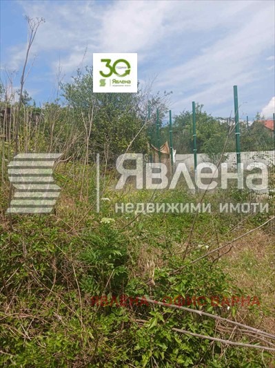 À venda  Trama Varna , m-t Planova , 401 m² | 71659729 - imagem [6]