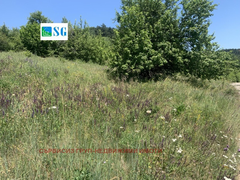 Продается  Сюжет область Перник , Студена , 1200 кв.м | 53910530 - изображение [3]