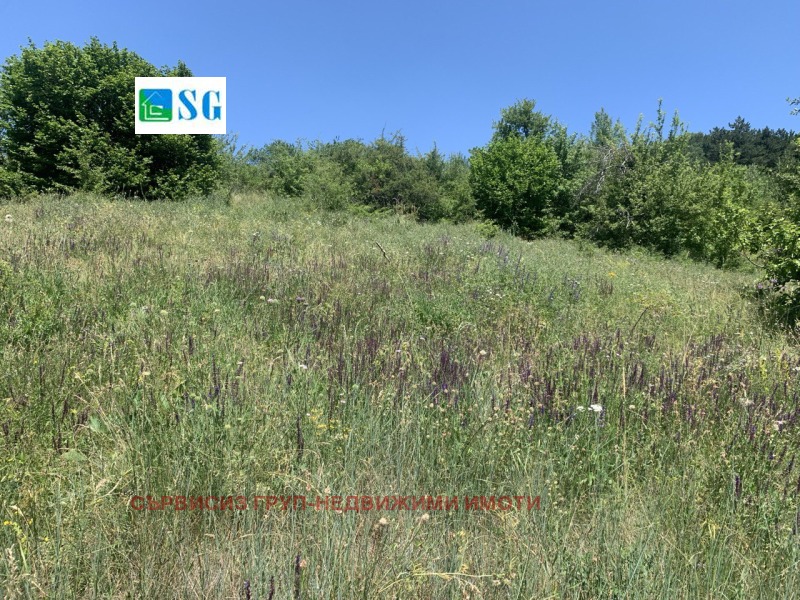 Продается  Сюжет область Перник , Студена , 1200 кв.м | 53910530 - изображение [5]