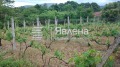 Продава  Къща област Бургас , с. Изгрев , 110 кв.м | 25259606 - изображение [6]