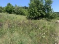 Продава ПАРЦЕЛ, област Перник, с. Студена • 51600 € • 58328167 — Holmes.bg