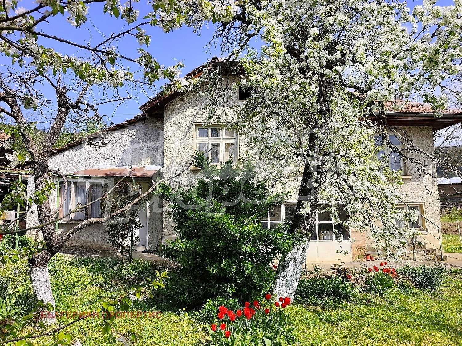 ������� ���� | Imot.bg � ����������� 12