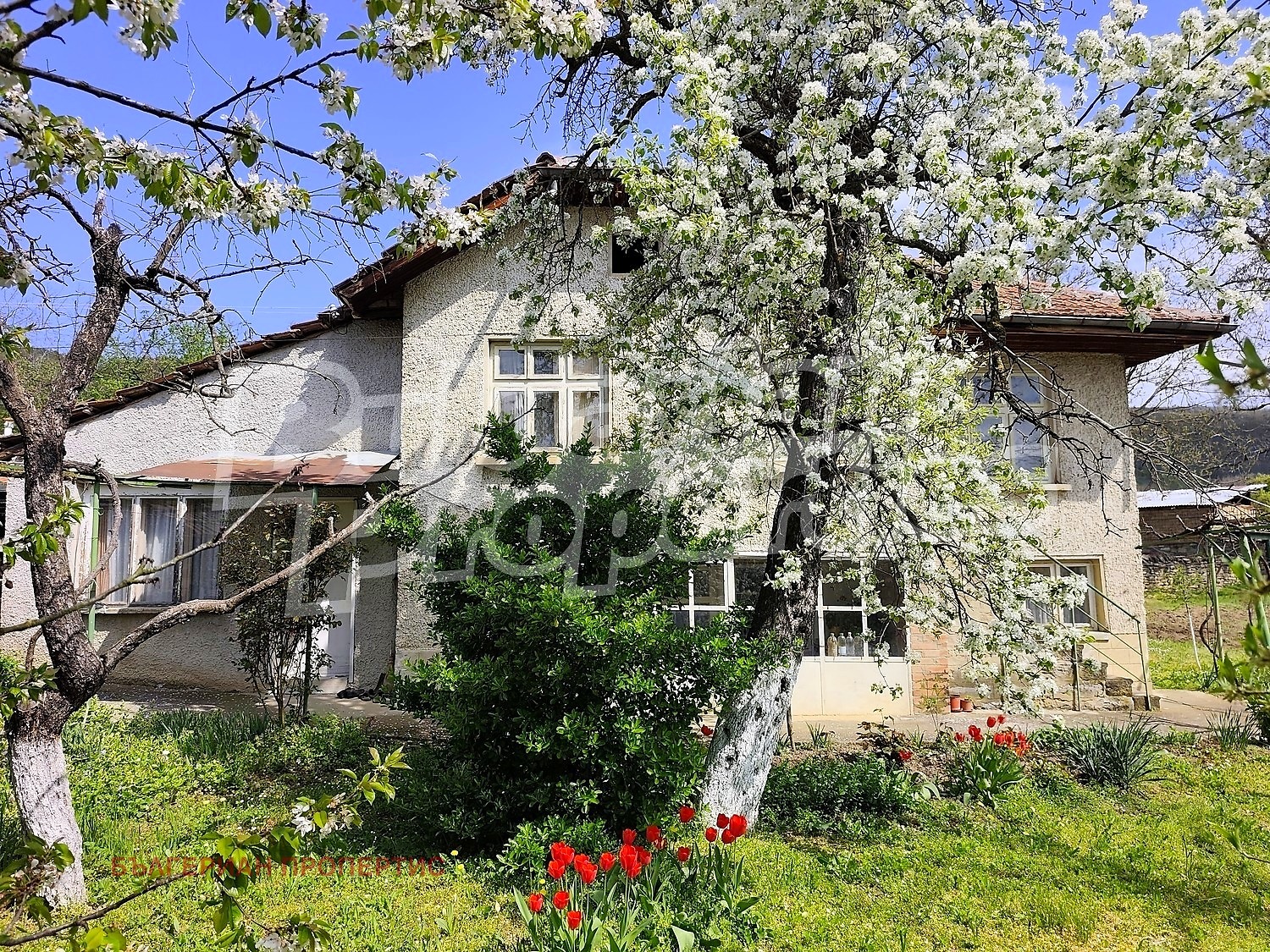������� ���� | Imot.bg � ����������� 1