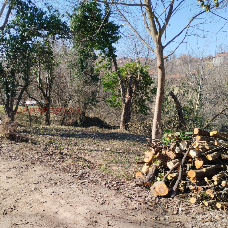 Продава ПАРЦЕЛ, с. Голяма Желязна, област Ловеч, снимка 2 - Парцели - 52782590