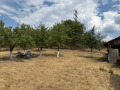 Продава КЪЩА, област Кюстендил, с. Усойка • 60000 € • 21385237 — Holmes.bg