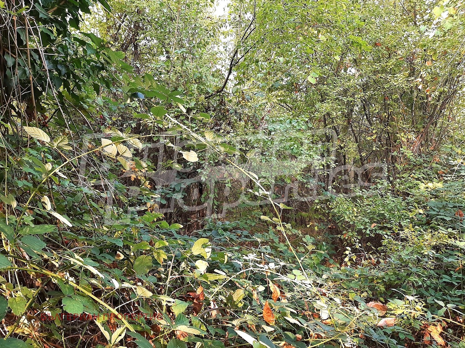 ������� ���� | Imot.bg � ����������� 5