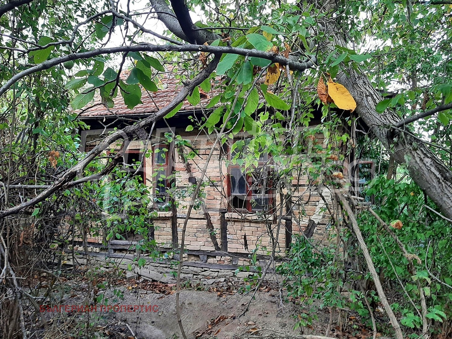 ������� ���� | Imot.bg � ����������� 2