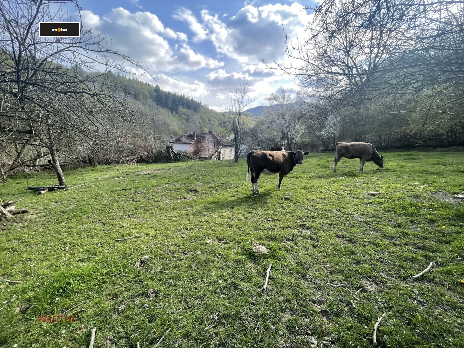 Продава КЪЩА, гр. Априлци, област Ловеч, снимка 16 - Къщи - 54267352