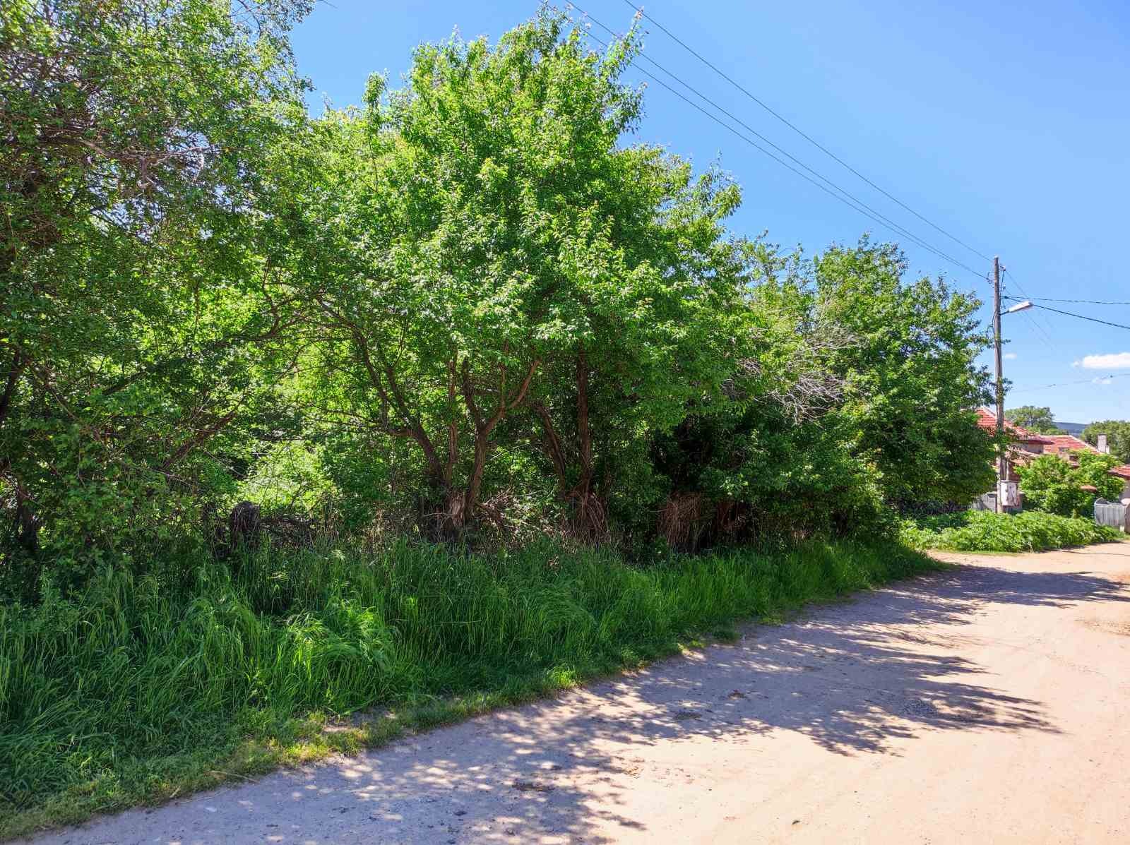 Продава ПАРЦЕЛ, с. Крайници, област Кюстендил, снимка 2 - Парцели - 44369199