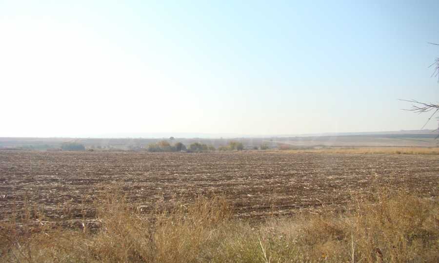 Продава ПАРЦЕЛ, с. Арчар, област Видин, снимка 3 - Парцели - 56583552
