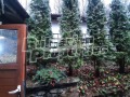 Продава КЪЩА, гр. Троян, област Ловеч, снимка 11