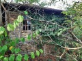 Продава КЪЩА, с. Балканци, област Велико Търново, снимка 8