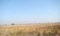 Продава ПАРЦЕЛ, с. Арчар, област Видин, снимка 4
