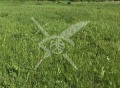 Продава  Парцел област Пловдив , с. Браниполе , 625 кв.м | 82613940