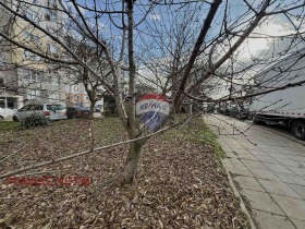 ����� ������� ����,��. ������, ������ ������