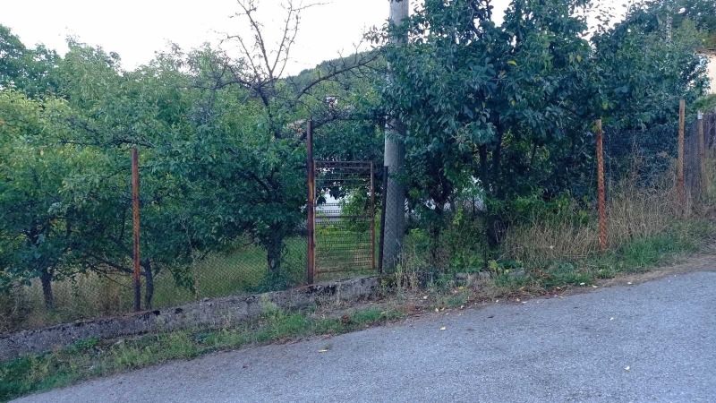 Продава ПАРЦЕЛ, област Перник, с. Кралев дол • 21000 € • 89908696 — Holmes.bg