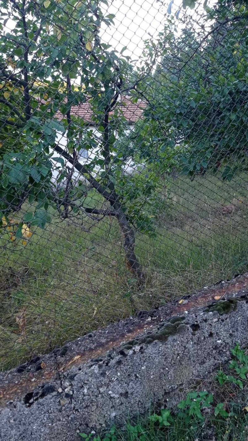 Na sprzedaż  Działka region Pernika , Kralew dol , 285 mkw | 54972026 - obraz [3]