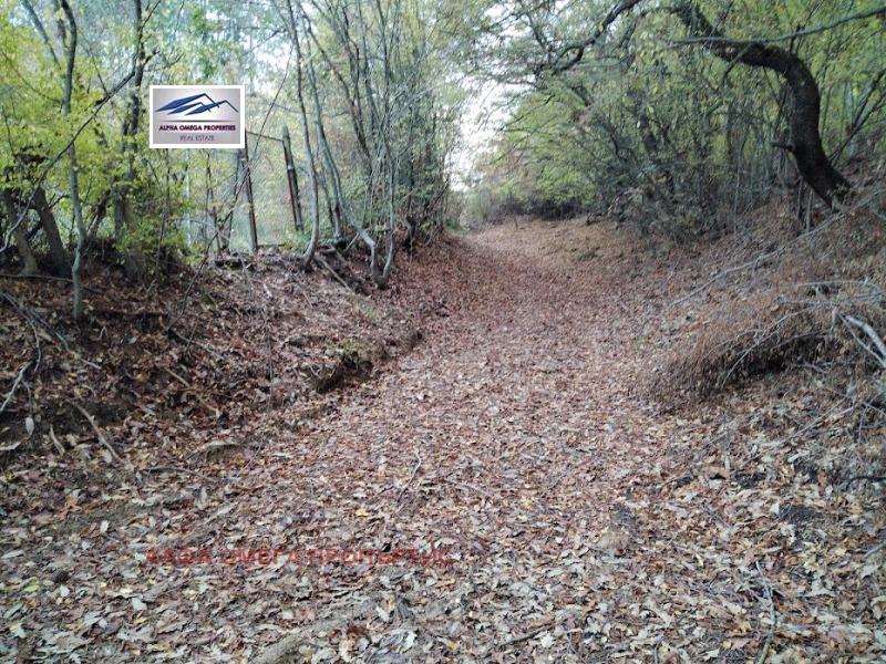 Na prodej  Spiknutí Varna , Vinica , 878 m2 | 24782193 - obraz [7]