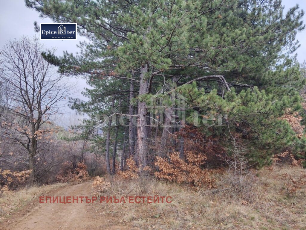 Продава ПАРЦЕЛ, с. Драгичево, област Перник, снимка 2 - Парцели - 52707448