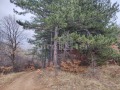 Продава ПАРЦЕЛ, с. Драгичево, област Перник, снимка 2