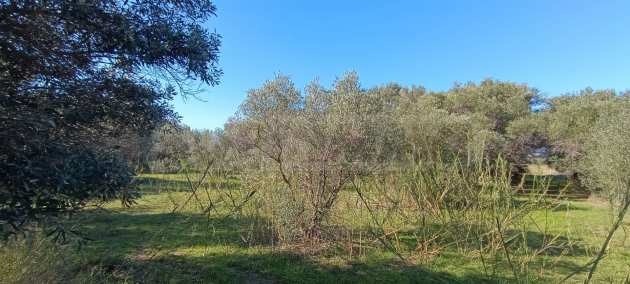 Продава ПАРЦЕЛ | Imot.bg — изображение 6