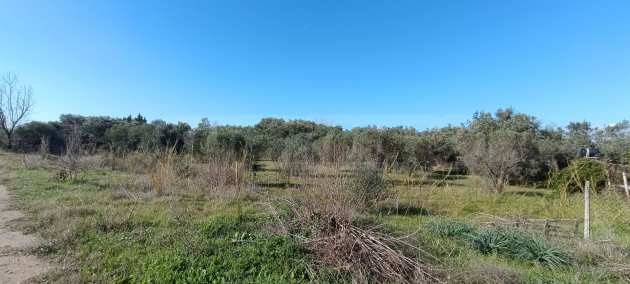 Продава ПАРЦЕЛ | Imot.bg — изображение 3