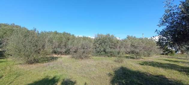 Продава ПАРЦЕЛ | Imot.bg — изображение 8