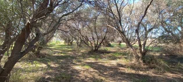 Продава ПАРЦЕЛ | Imot.bg — изображение 10