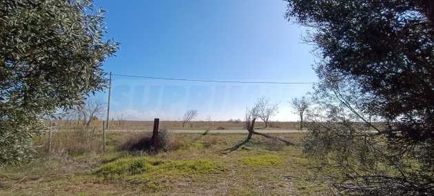 Продава ПАРЦЕЛ | Imot.bg — изображение 7