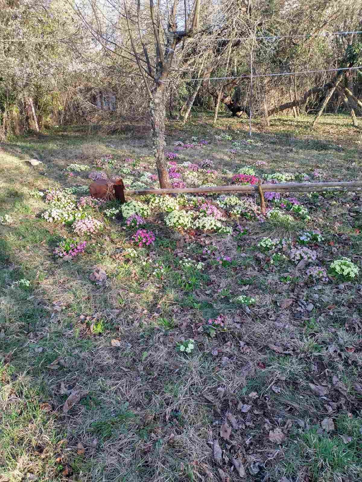 Продава ПАРЦЕЛ, с. Долна Диканя, област Перник