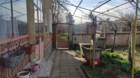 ������ ������� ����