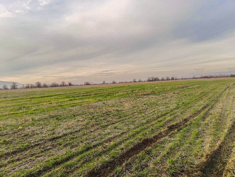 Продава ПАРЦЕЛ, гр. София, с. Лозен, снимка 7 - Парцели - 53062705